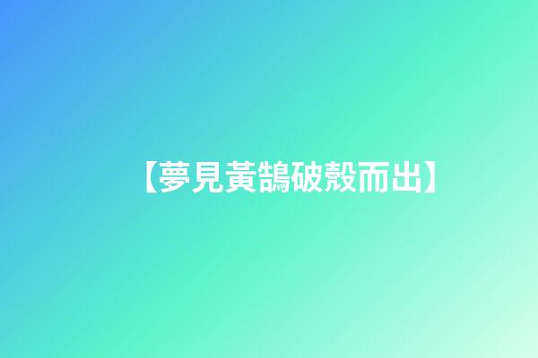 【夢見黃鵠破殼而出】