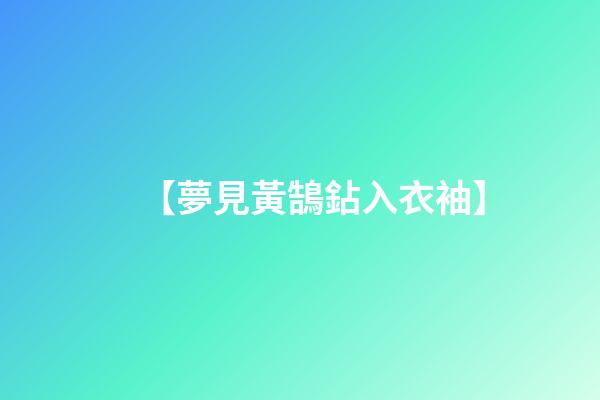 【夢見黃鵠鉆入衣袖】