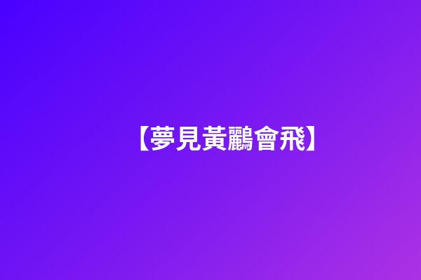 【夢見黃鸝會飛】