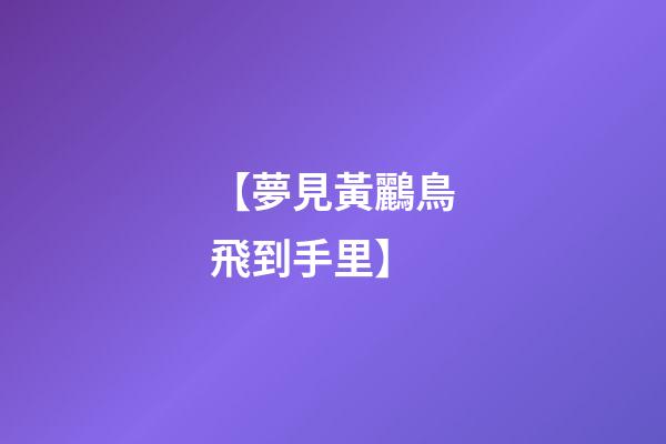 【夢見黃鸝鳥飛到手里】