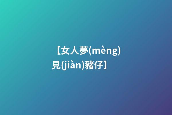 【女人夢(mèng)見(jiàn)豬仔】