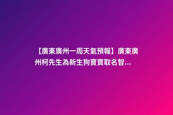 【廣東廣州一周天氣預報】廣東廣州柯先生為新生狗寶寶取名智慧型套餐-第1張-公司起名-玄機派