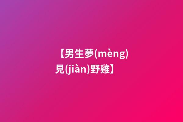 【男生夢(mèng)見(jiàn)野雞】