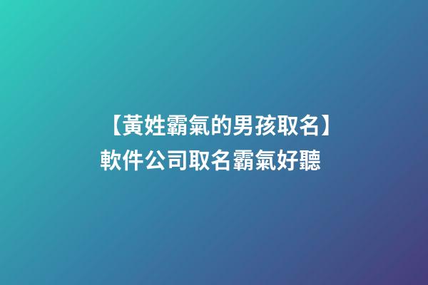 【黃姓霸氣的男孩取名】軟件公司取名霸氣好聽-第1張-公司起名-玄機派
