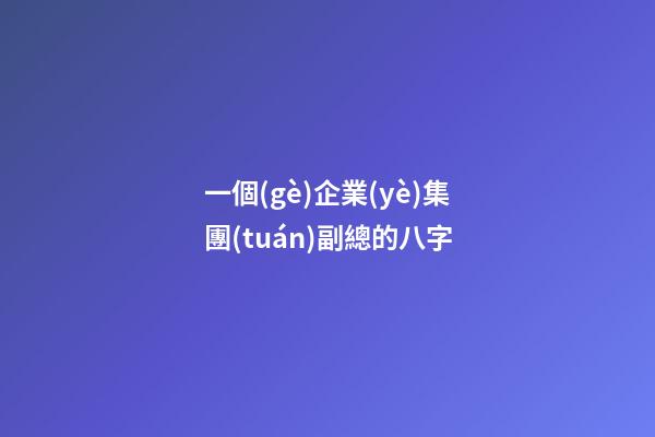 一個(gè)企業(yè)集團(tuán)副總的八字