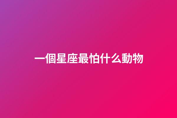 一個星座最怕什么動物