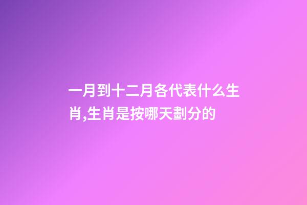 一月到十二月各代表什么生肖,生肖是按哪天劃分的-第1張-觀點(diǎn)-玄機(jī)派