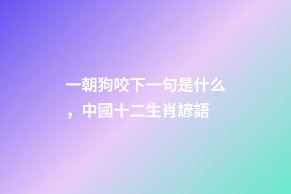 一朝狗咬下一句是什么，中國十二生肖諺語-第1張-觀點-玄機派