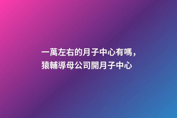 一萬左右的月子中心有嗎，猿輔導母公司開月子中心-第1張-觀點-玄機派