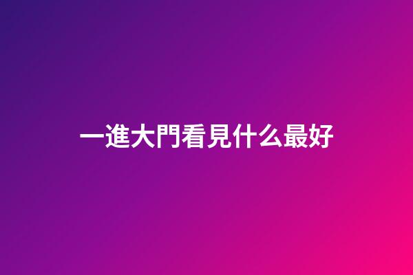 一進大門看見什么最好