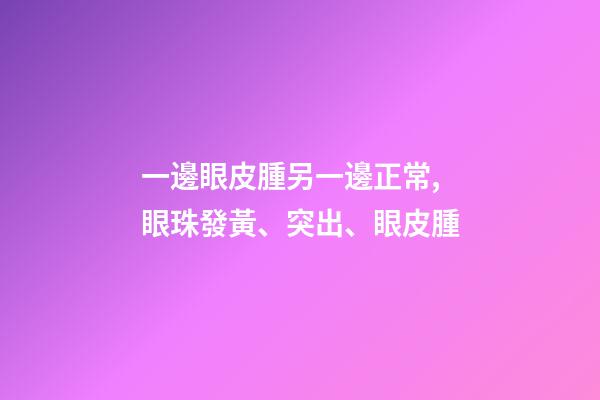 一邊眼皮腫另一邊正常,眼珠發黃、突出、眼皮腫-第1張-觀點-玄機派