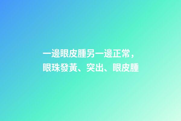 一邊眼皮腫另一邊正常，眼珠發黃、突出、眼皮腫-第1張-觀點-玄機派
