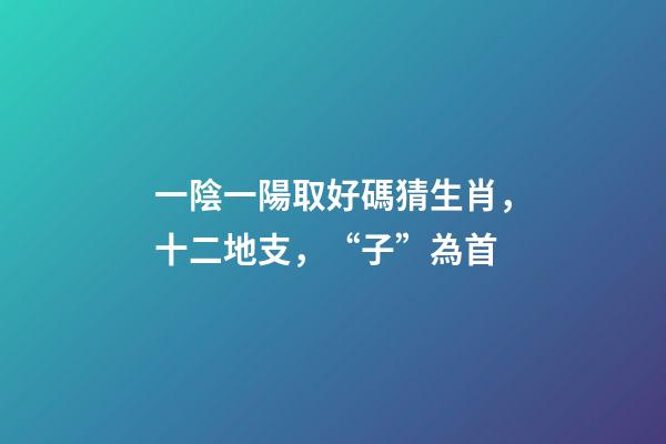 一陰一陽取好碼猜生肖，十二地支，“子”為首-第1張-觀點-玄機派