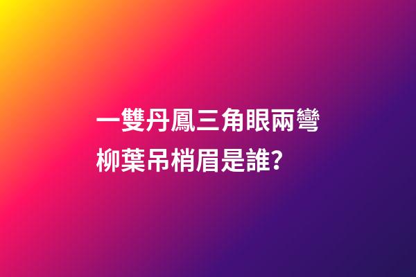 一雙丹鳳三角眼兩彎柳葉吊梢眉是誰？