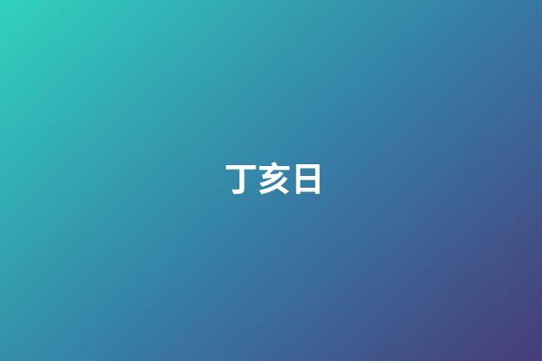 丁亥日