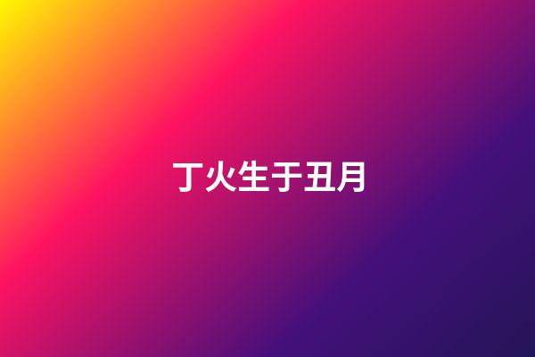 丁火生于丑月