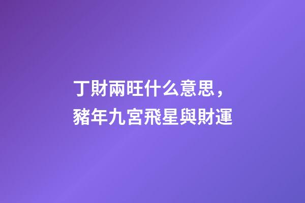 丁財兩旺什么意思，豬年九宮飛星與財運-第1張-觀點-玄機派