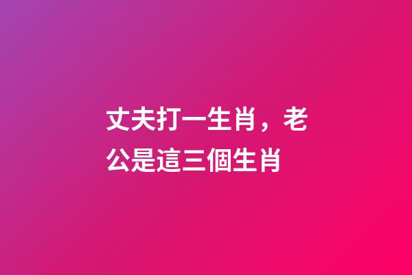 丈夫打一生肖，老公是這三個生肖-第1張-觀點-玄機派
