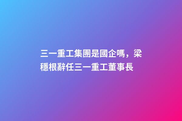 三一重工集團是國企嗎，梁穩根辭任三一重工董事長-第1張-觀點-玄機派
