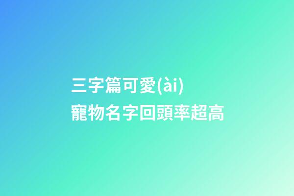 三字篇可愛(ài)寵物名字回頭率超高