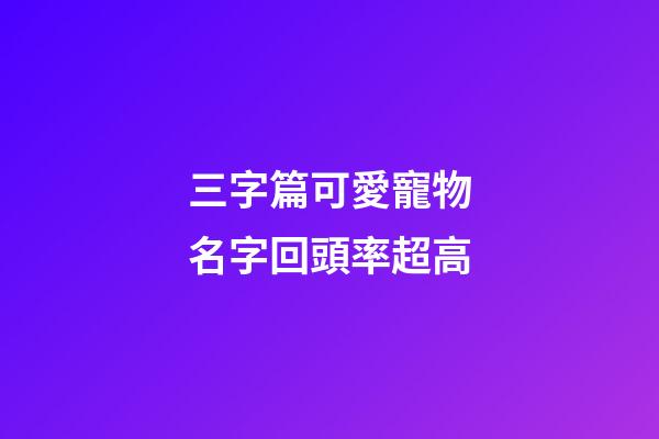 三字篇可愛寵物名字回頭率超高