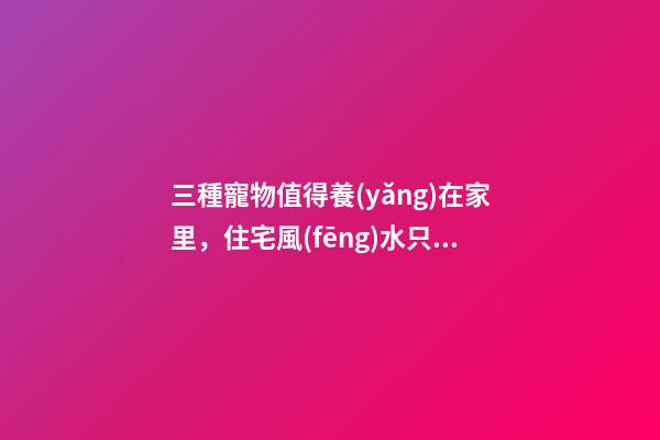 三種寵物值得養(yǎng)在家里，住宅風(fēng)水只好不壞