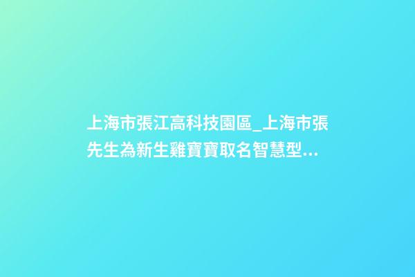 上海市張江高科技園區_上海市張先生為新生雞寶寶取名智慧型套餐-第1張-公司起名-玄機派