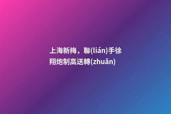 上海新梅，聯(lián)手徐翔炮制高送轉(zhuǎn)-第1張-觀點(diǎn)-玄機(jī)派