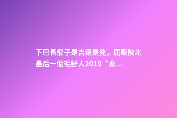 下巴長瘊子是吉還是兇，屈殿陜北最后一個毛野人2019“秦聲動人”——陜西話講陜西故事(2)-第1張-觀點-玄機派