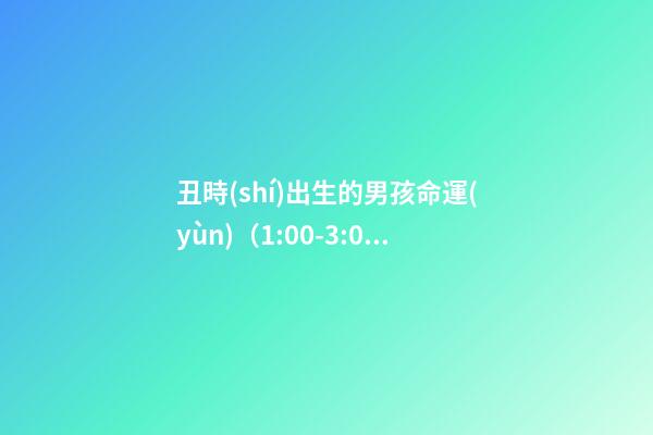 丑時(shí)出生的男孩命運(yùn)（1:00-3:00）