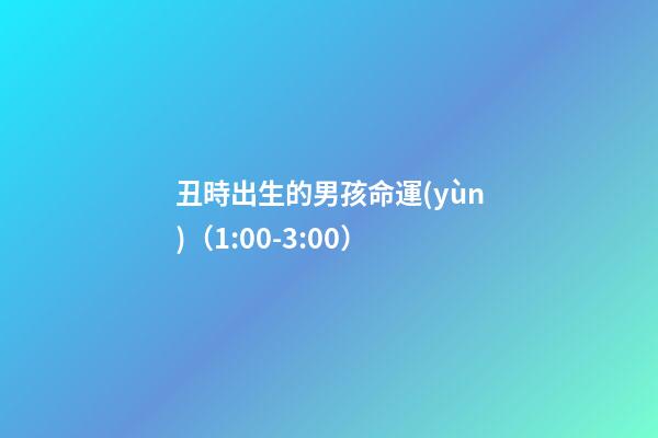 丑時出生的男孩命運(yùn)（1:00-3:00）