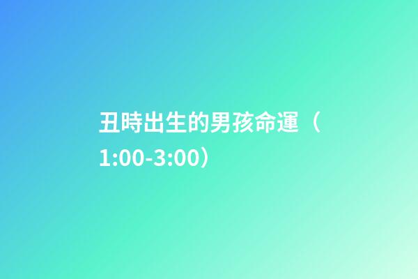 丑時出生的男孩命運（1:00-3:00）