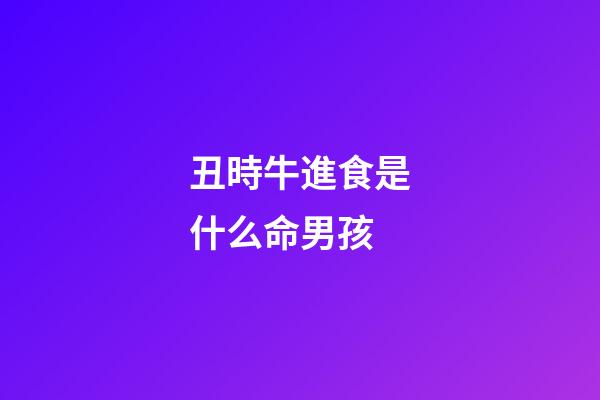 丑時牛進食是什么命男孩(你不知道的事，十二生肖牛)-第1張-觀點-玄機派