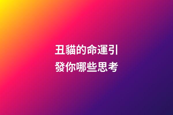 丑貓的命運引發你哪些思考(小說：美女闖進監獄，狂熱者紛紛逃竄)-第1張-觀點-玄機派