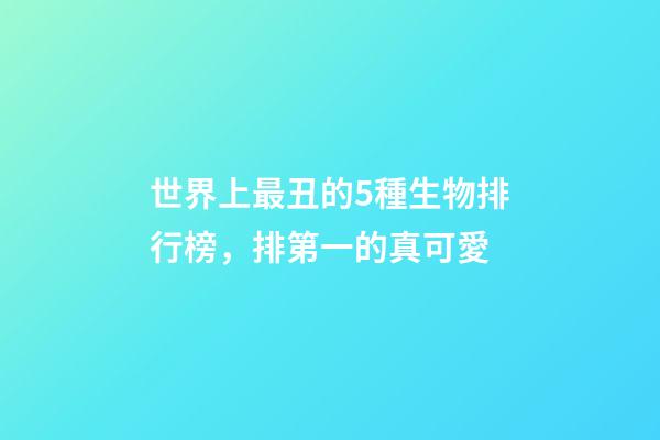 世界上最丑的5種生物排行榜，排第一的真可愛-第1張-觀點-玄機派