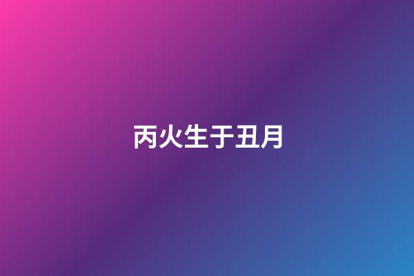 丙火生于丑月
