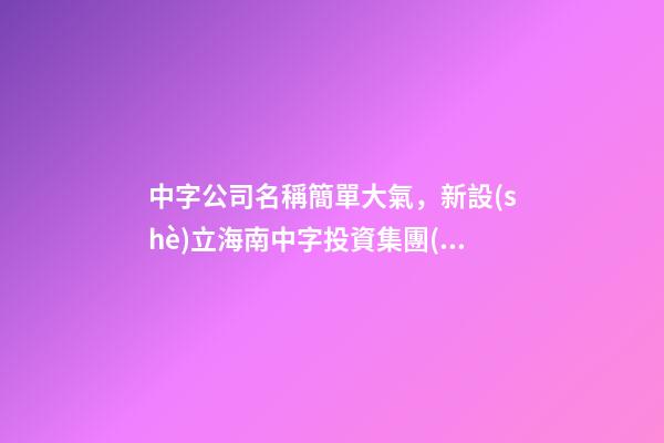 中字公司名稱簡單大氣，新設(shè)立海南中字投資集團(tuán)公司-第1張-觀點-玄機(jī)派