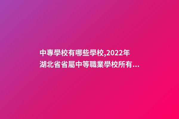 中專學校有哪些學校,2022年湖北省省屬中等職業學校(中職)所有名單(17所)-第1張-觀點-玄機派