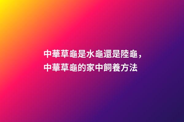 中華草龜是水龜還是陸龜，中華草龜的家中飼養方法-第1張-觀點-玄機派