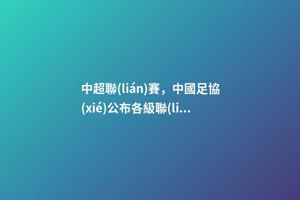 中超聯(lián)賽，中國足協(xié)公布各級聯(lián)賽俱樂部參賽名單中超縮減至16隊-第1張-觀點-玄機派