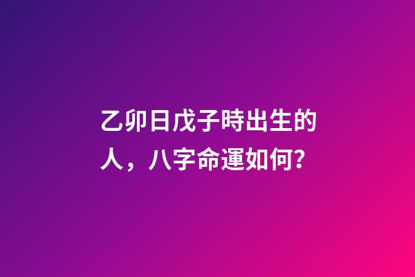 乙卯日戊子時出生的人，八字命運如何？