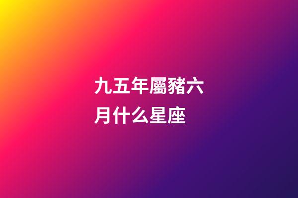 九五年屬豬六月什么星座-第1張-星座運勢-玄機派