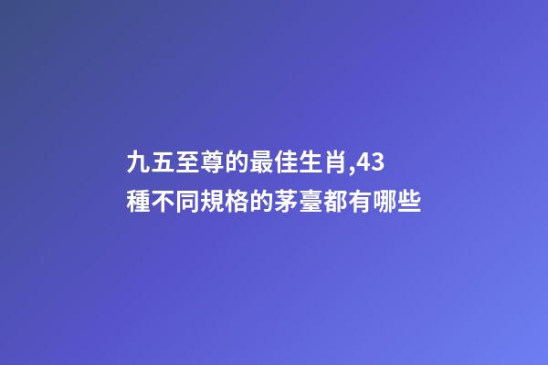 九五至尊的最佳生肖,43種不同規格的茅臺都有哪些-第1張-觀點-玄機派