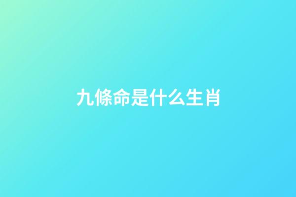 九條命是什么生肖(中國人的年夜飯怎么吃才講究？福貓金鼠齊上桌，新年全家更多福)-第1張-觀點-玄機派