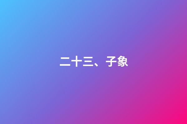 二十三、子象