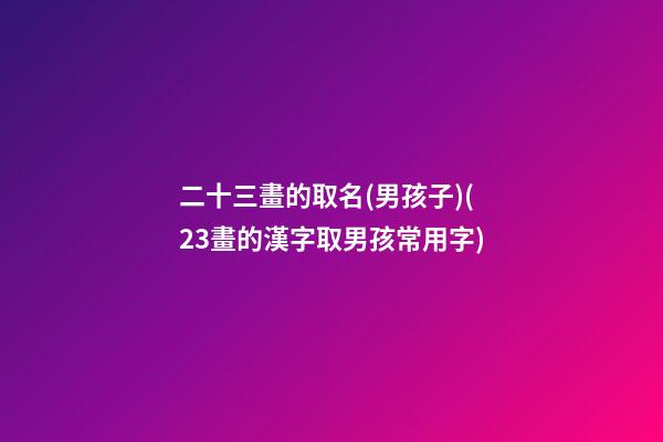 二十三畫的取名(男孩子)(23畫的漢字取男孩常用字)