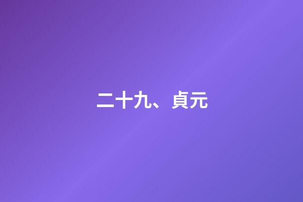 二十九、貞元