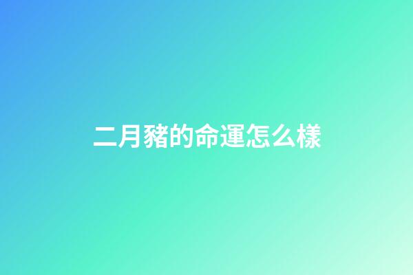 二月豬的命運怎么樣(豬在東北面臨怎樣的命運？地球知識局)-第1張-觀點-玄機派