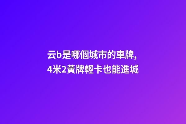 云b是哪個城市的車牌,4米2黃牌輕卡也能進城-第1張-觀點-玄機派