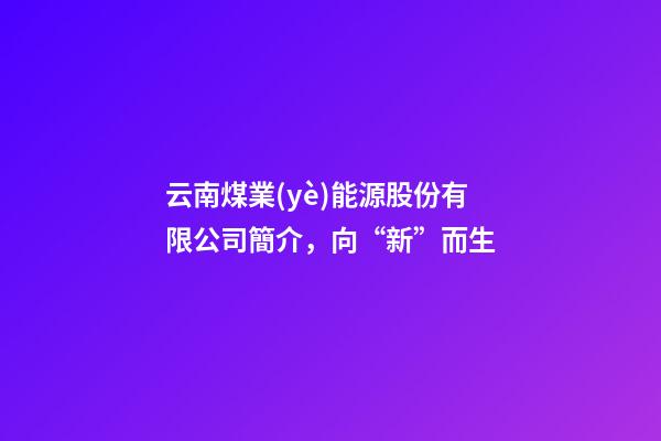 云南煤業(yè)能源股份有限公司簡介，向“新”而生-第1張-觀點-玄機派